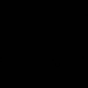 Meet your Posher, Pedro